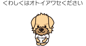 くわしくはオトイワセください